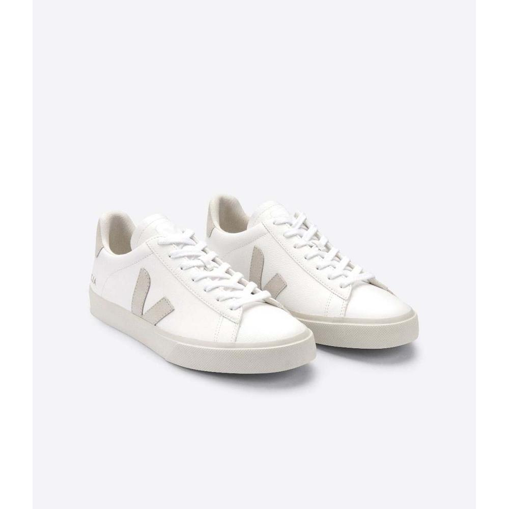 Low Tops Sneakers Barbati Veja CAMPO CHROMEFREE White/Beige | RO 296EBC